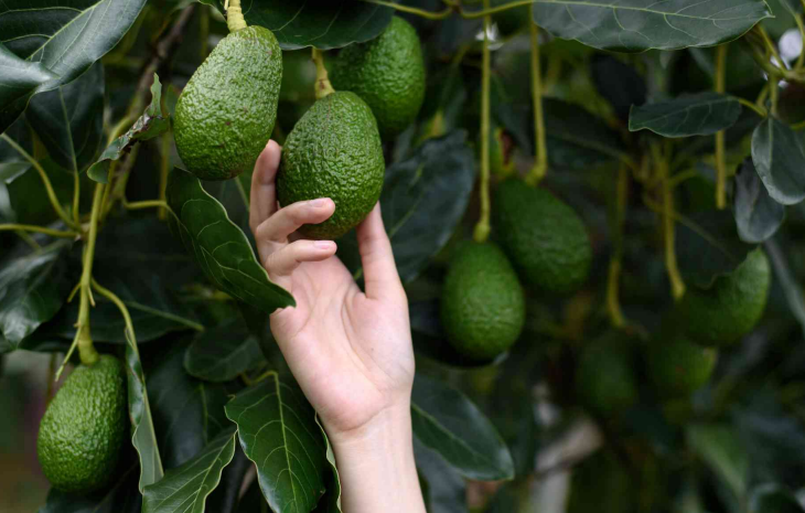 Le secteur peut-il concilier compétitivité et durabilité ?